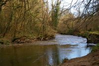 Respryn Bridge, River Fowey